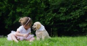 best puppy training tips
