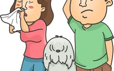 air purifier for homes with pets