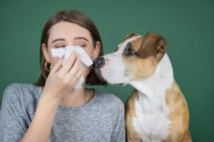 allergic to dogs symptoms