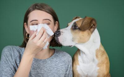 allergic to dogs symptoms
