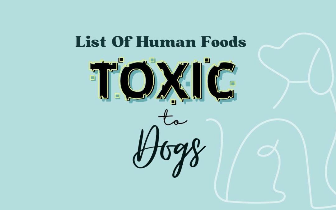 List Of Human Foods Toxic To Dogs
