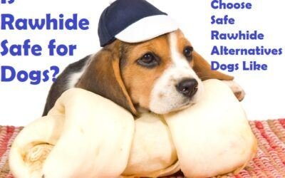 is rawhide safe for dogs