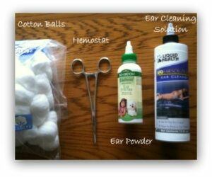 dog ear cleaning supplies