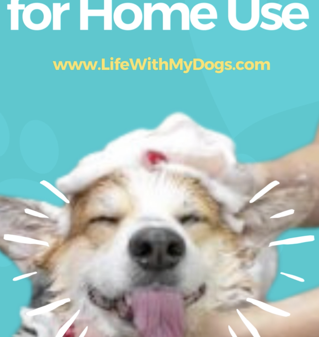 Best Dog Bathtubs for Home Use