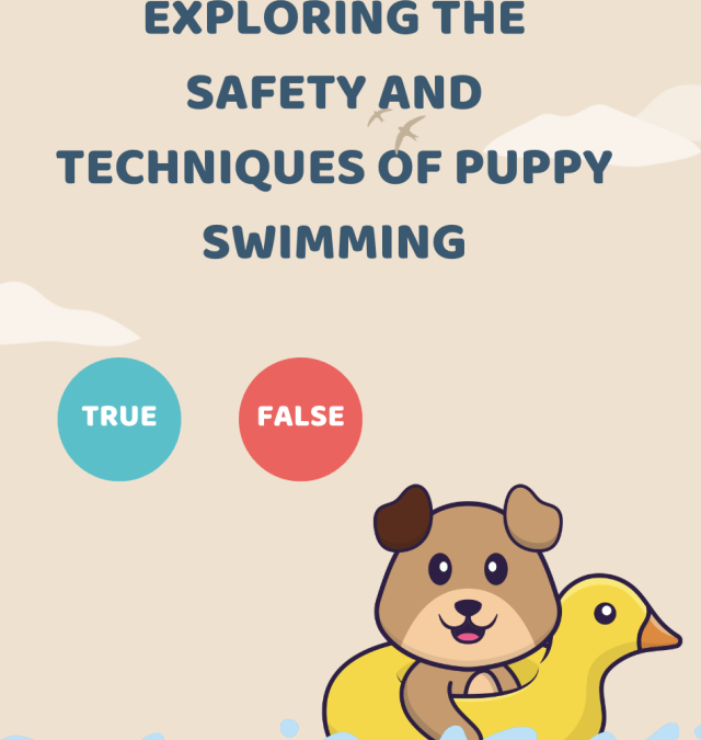 Can Puppies Swim? Exploring the Safety and Techniques of Puppy Swimming
