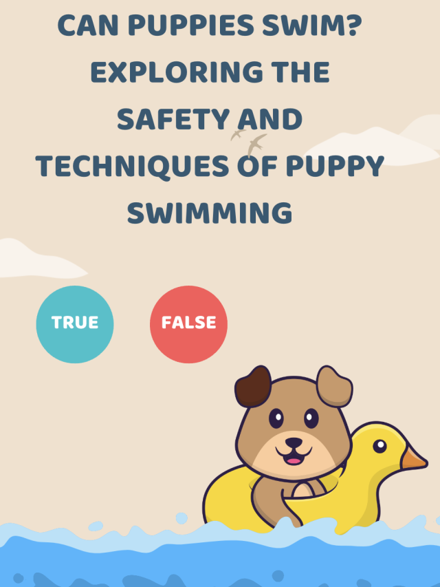 Can Puppies Swim? Exploring the Safety and Techniques of Puppy Swimming