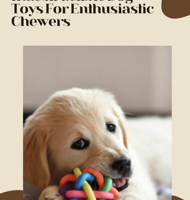 Indestructible Dog Toys For Enthusiastic Chewers