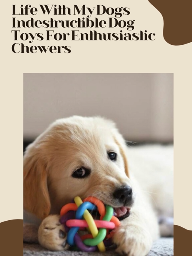 Indestructible Dog Toys For Enthusiastic Chewers
