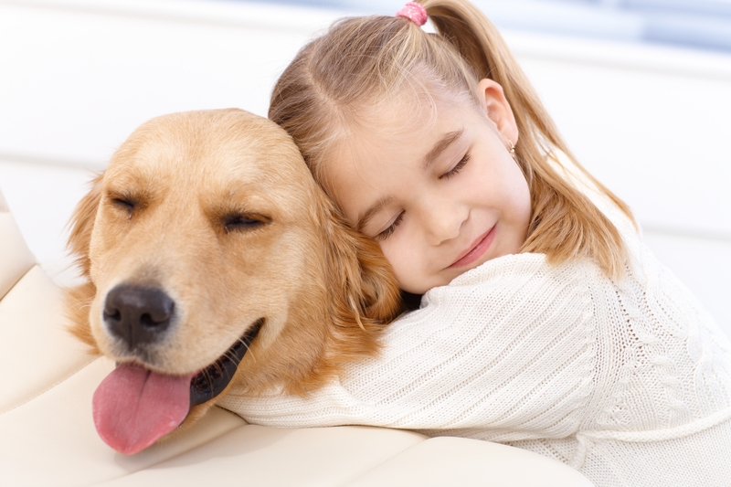 Bonding With Your Dog In 12 Ways