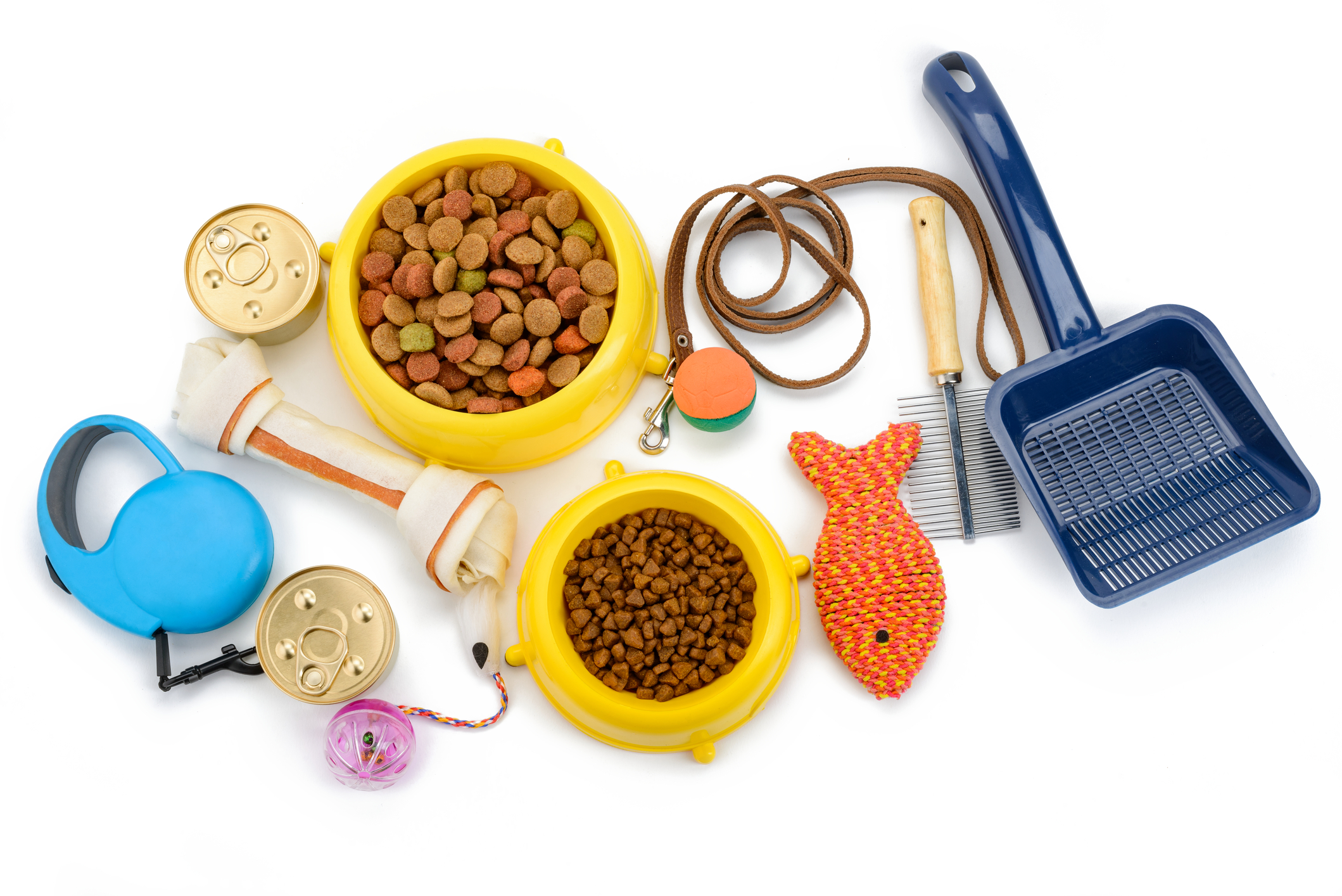pet supplies for canine transport