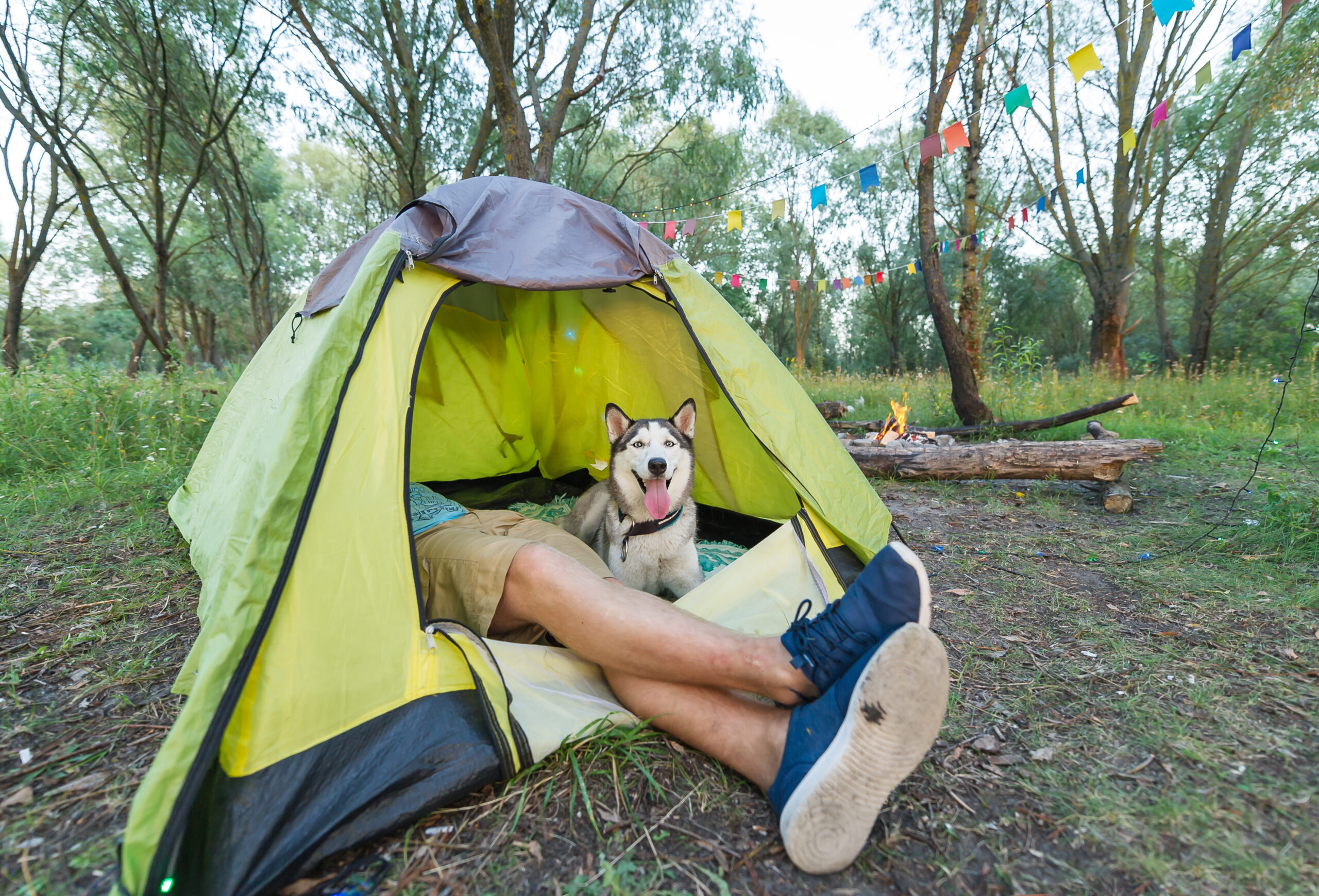 Take your dog camping