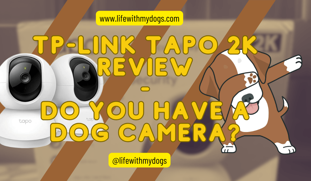 TP-Link Tapo 2K Review- Do You Have a Dog Camera?
