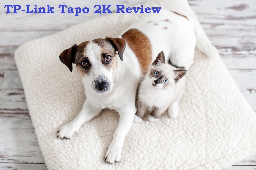 TP-Link Tapo 2K Review- Do You Have a Dog Camera?