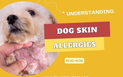 Understanding Dog Skin Allergies