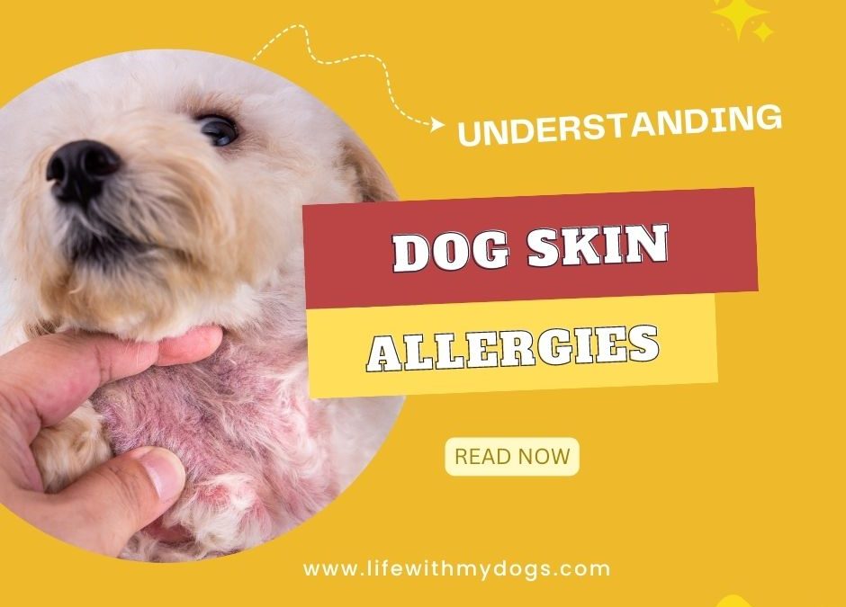 Understanding Dog Skin Allergies