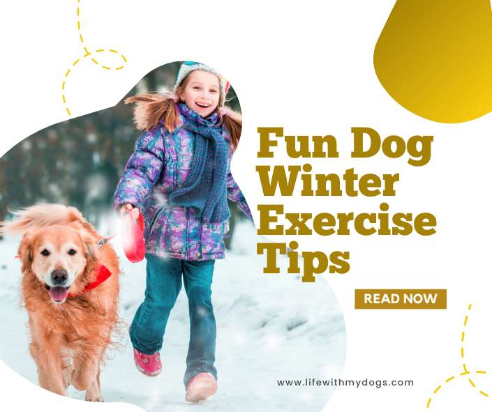 Title-Fun Dog Winter Exercise Tips