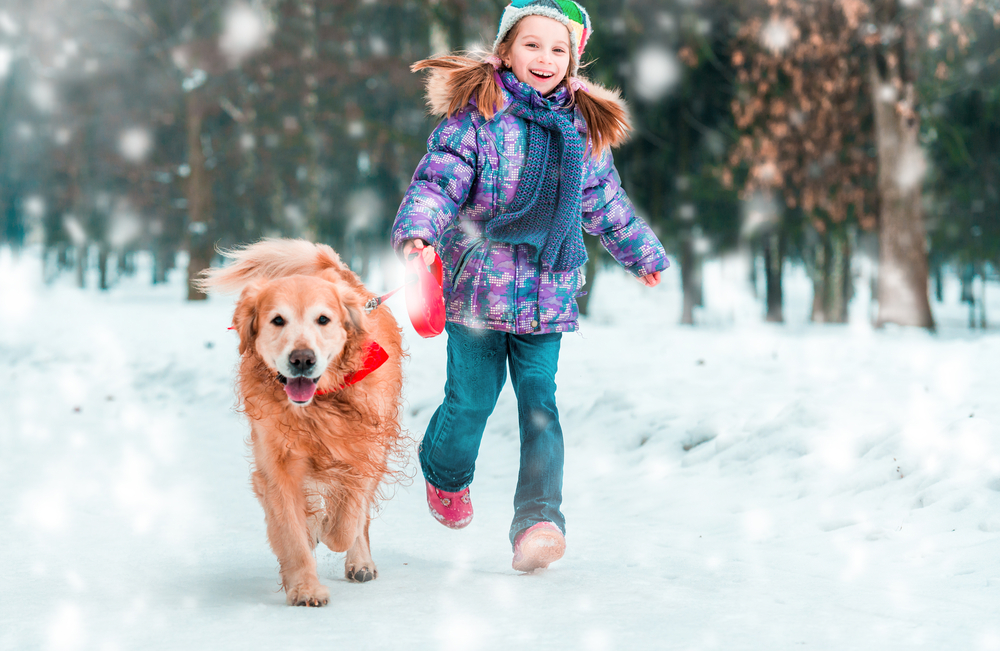 Fun Dog Winter Exercise Tips