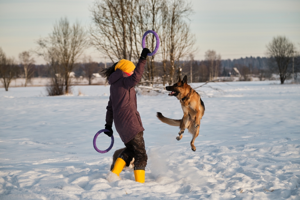 Fun Dog Winter Exercise Tips 