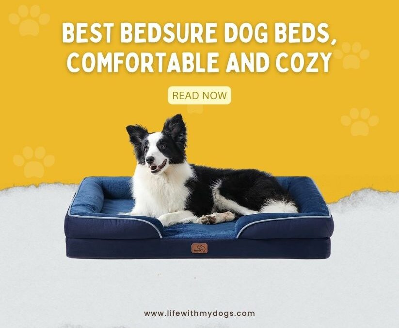 Best BedSure Dog Beds, Comfortable and Cozy