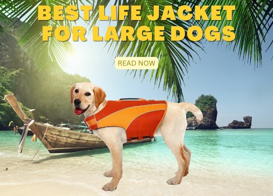 Best Life Jacket for Large Dogs