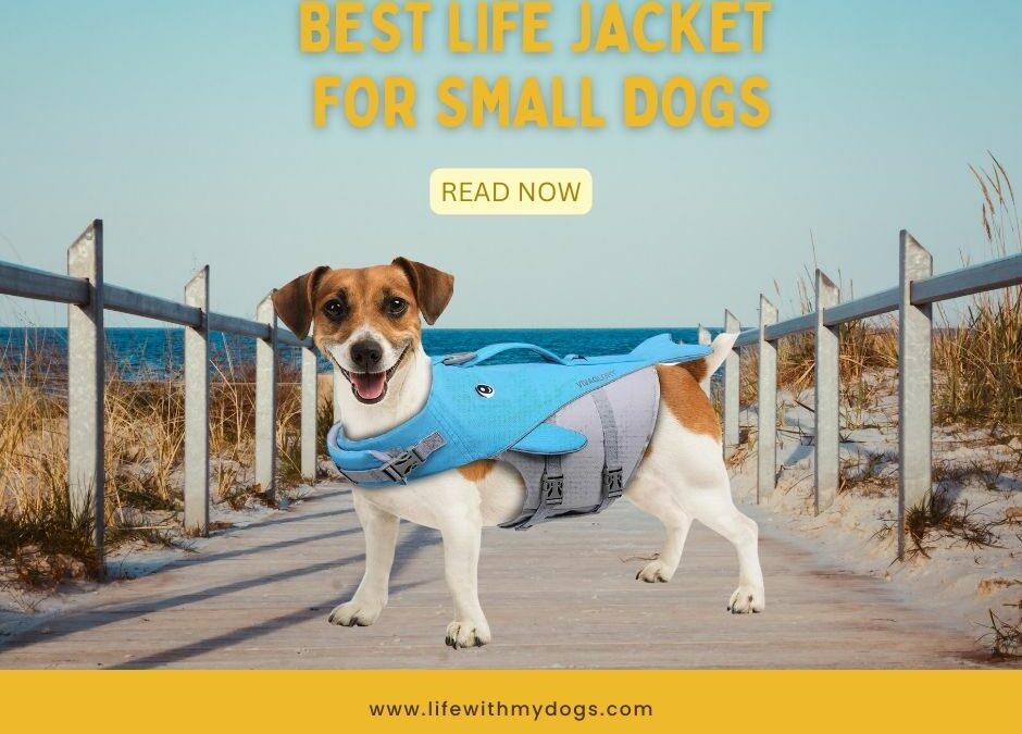 Best Life Jacket for Small Dogs