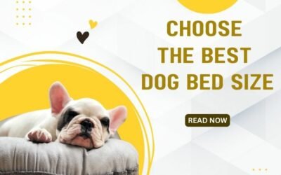 Choose the Best Dog Bed Size