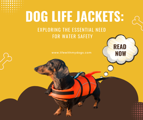 Dog Life Jackets Exploring the Essential Need for Water Safety