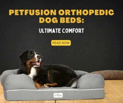 PetFusion Orthopedic Dog Beds: Ultimate Comfort - Life With My Dogs