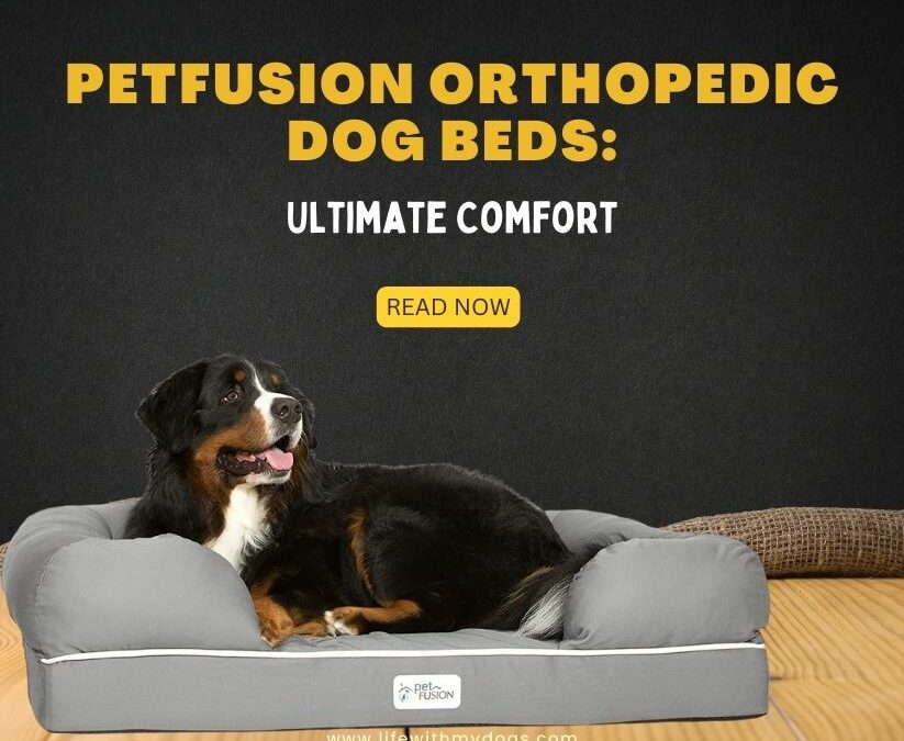 PetFusion Orthopedic Dog Beds: Ultimate Comfort