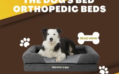 The Dog's Bed Orthopedic Beds
