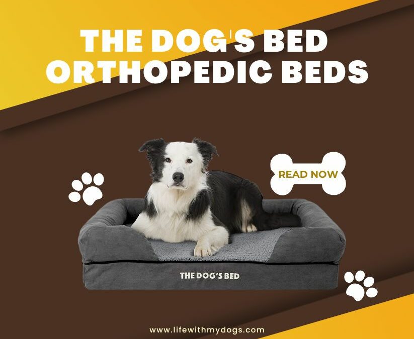 The Dog’s Bed Orthopedic Beds