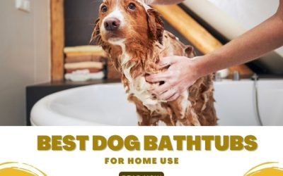 Best Dog Bathtubs for Home Use