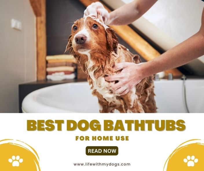 Best Dog Bathtubs for Home Use