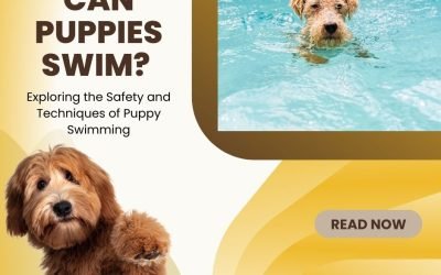 Can Puppies Swim? Exploring the Safety and Techniques of Puppy Swimming