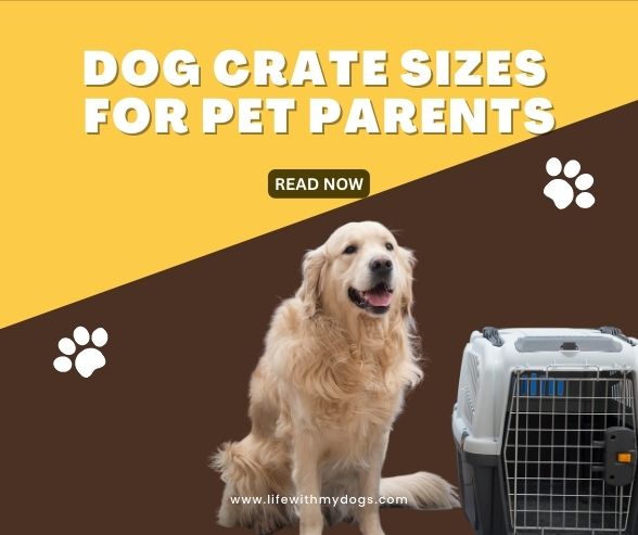 Dog Crate Sizes For Pet Parents