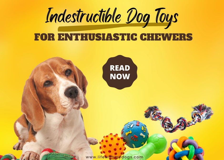 Indestructible Dog Toys For Enthusiastic Chewers