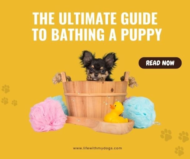 The Ultimate Guide to Bathing a Puppy Life With My Dogs