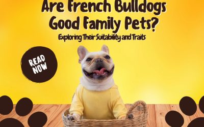 Are French Bulldogs Good Family Pets? Exploring Their Suitability and Traits