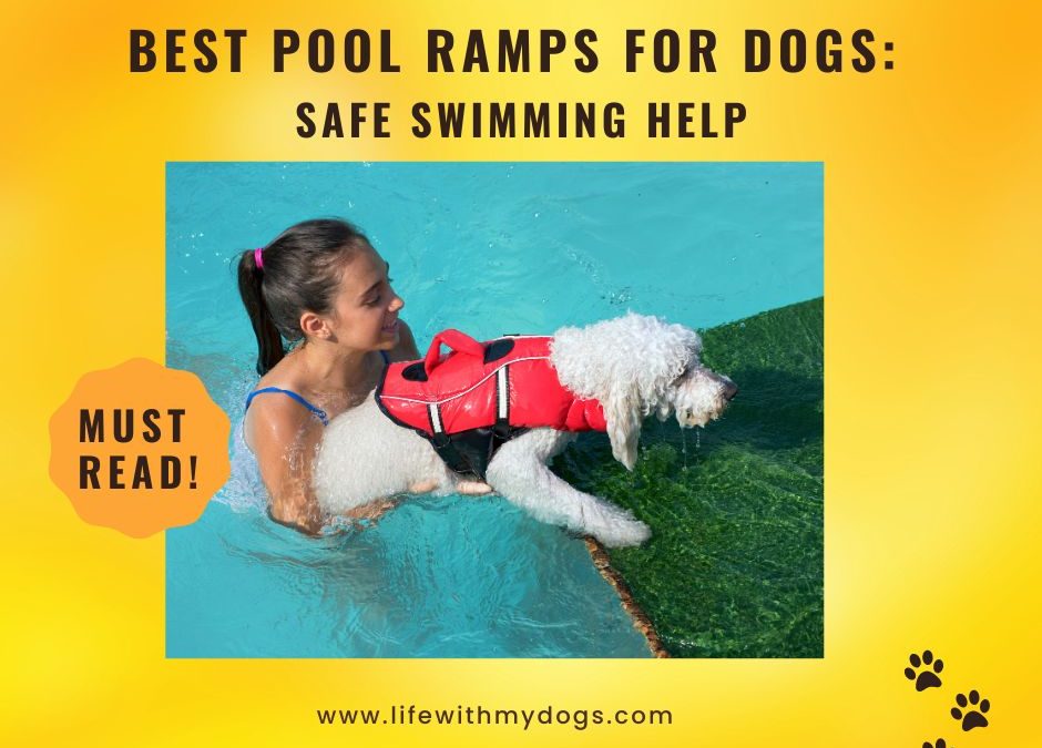 Best Pool Ramps for Dogs Safe Swimming Help