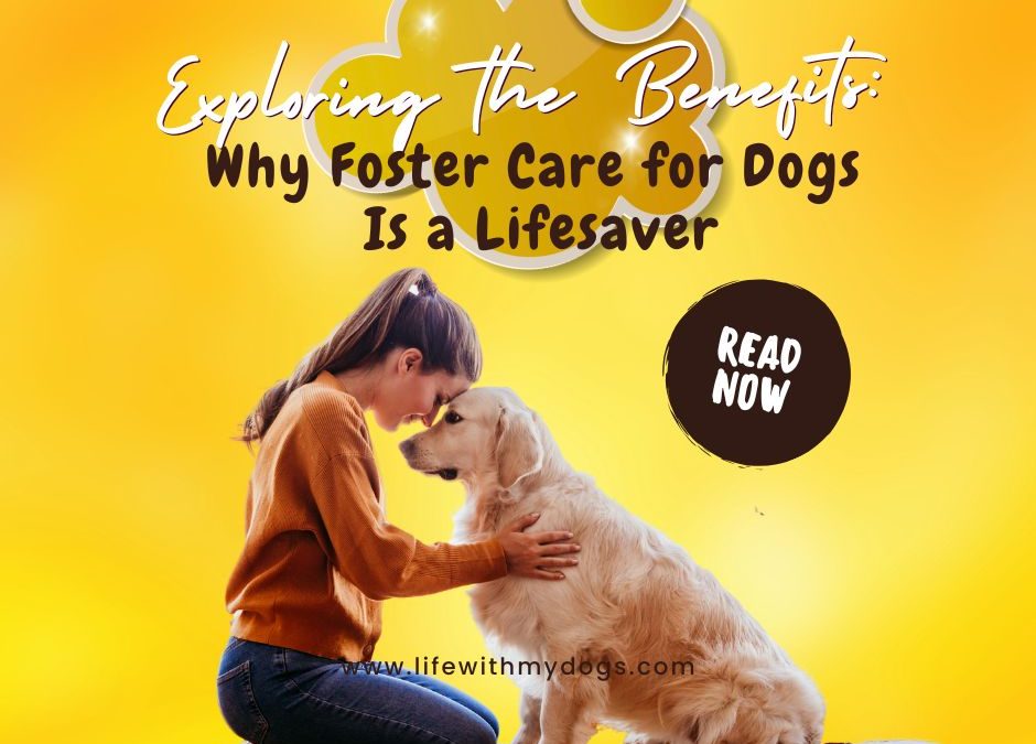 Exploring the Benefits: Why Foster Care for Dogs Is a Lifesaver