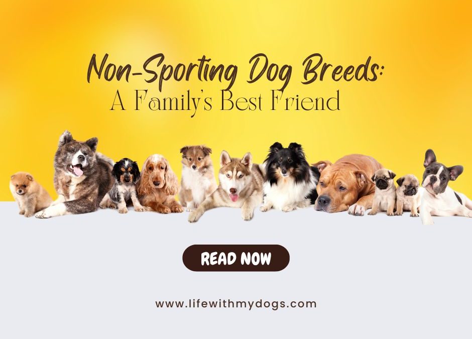 Non-Sporting Dog Breeds A Family's Best Friend