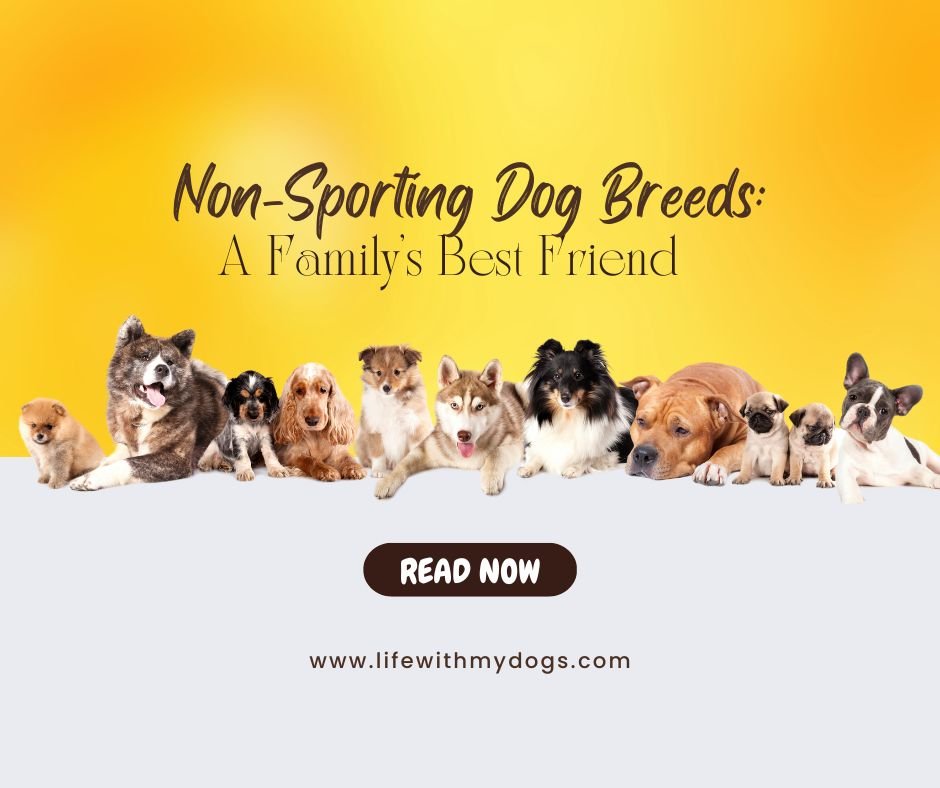 Non Sporting Dog Breeds A Family s Best Friend Life With My Dogs