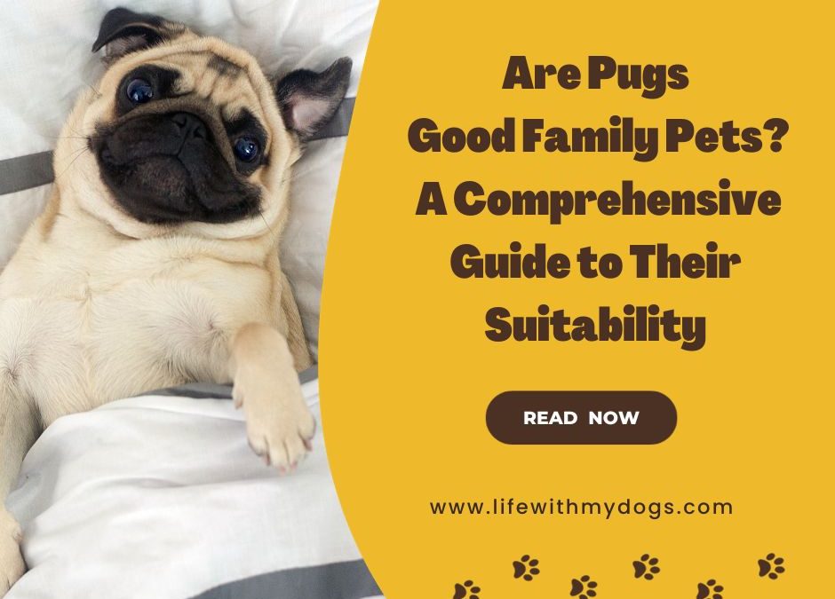 Are Pugs Good Family Pets? A Comprehensive Guide to Their Suitability