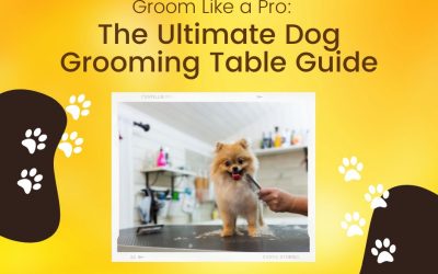 Groom Like a Pro The Ultimate Dog Grooming Table Guide