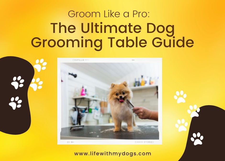 Groom Like a Pro: The Ultimate Dog Grooming Table Guide