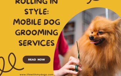 Rolling in Style Mobile Dog Grooming Services