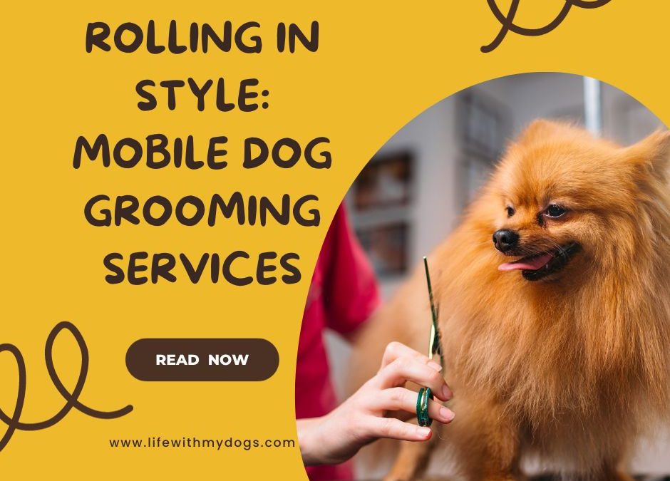 Rolling in Style: Mobile Dog Grooming Services