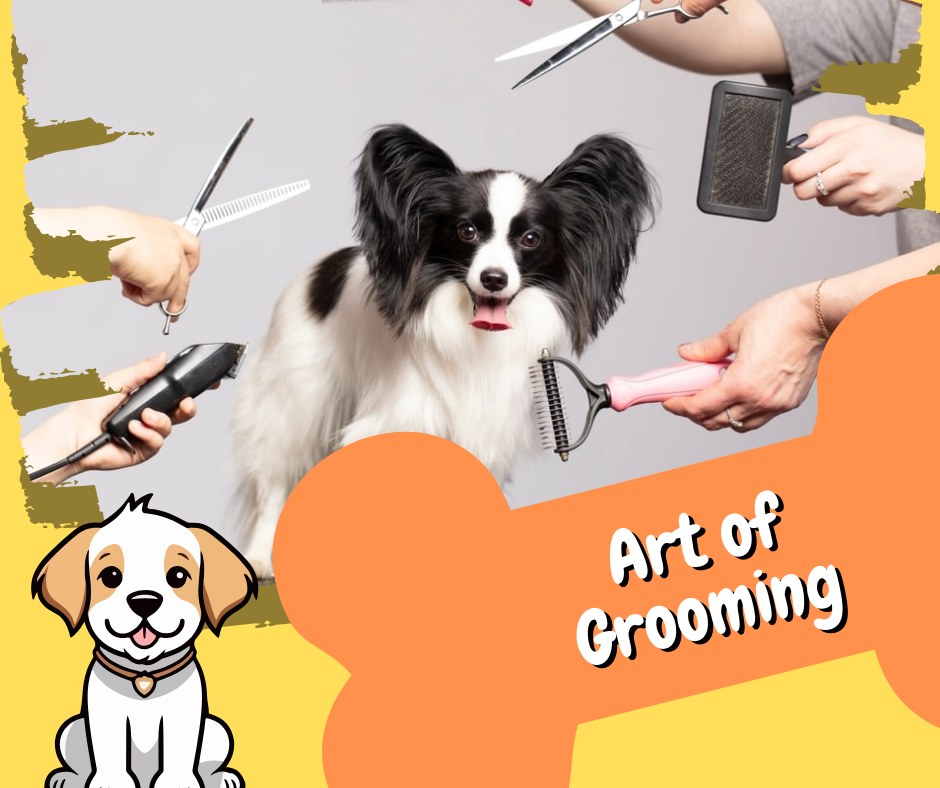 grooming dog