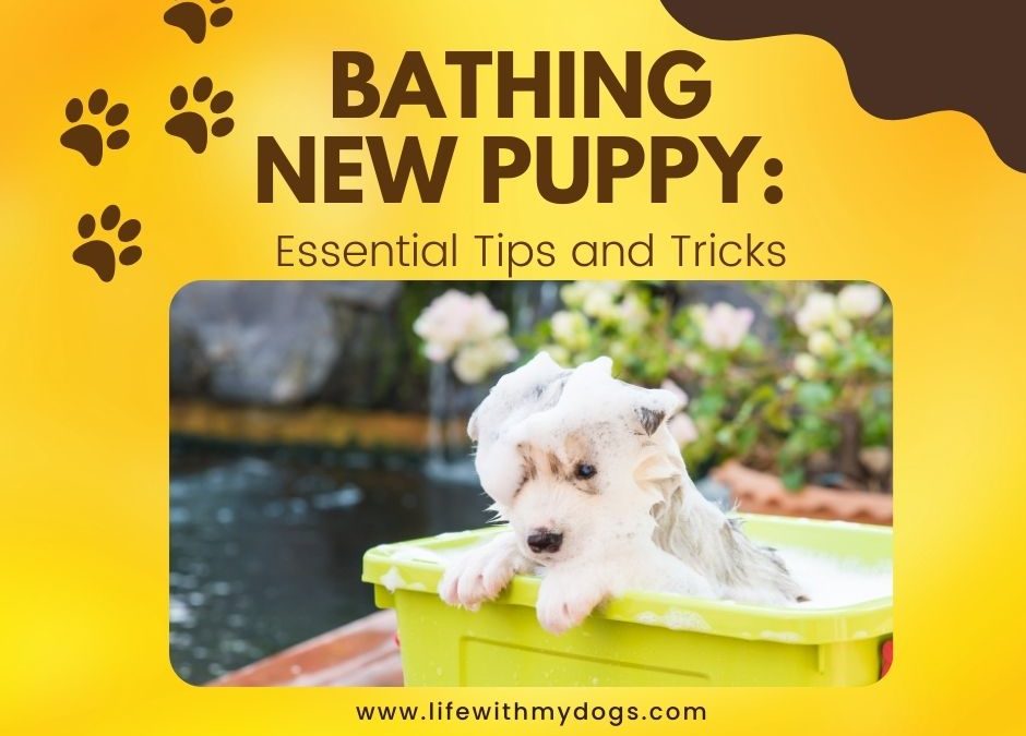 Bathing New Puppy: Essential Tips and Tricks