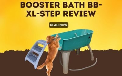 Booster Bath BB-XL-Step Review
